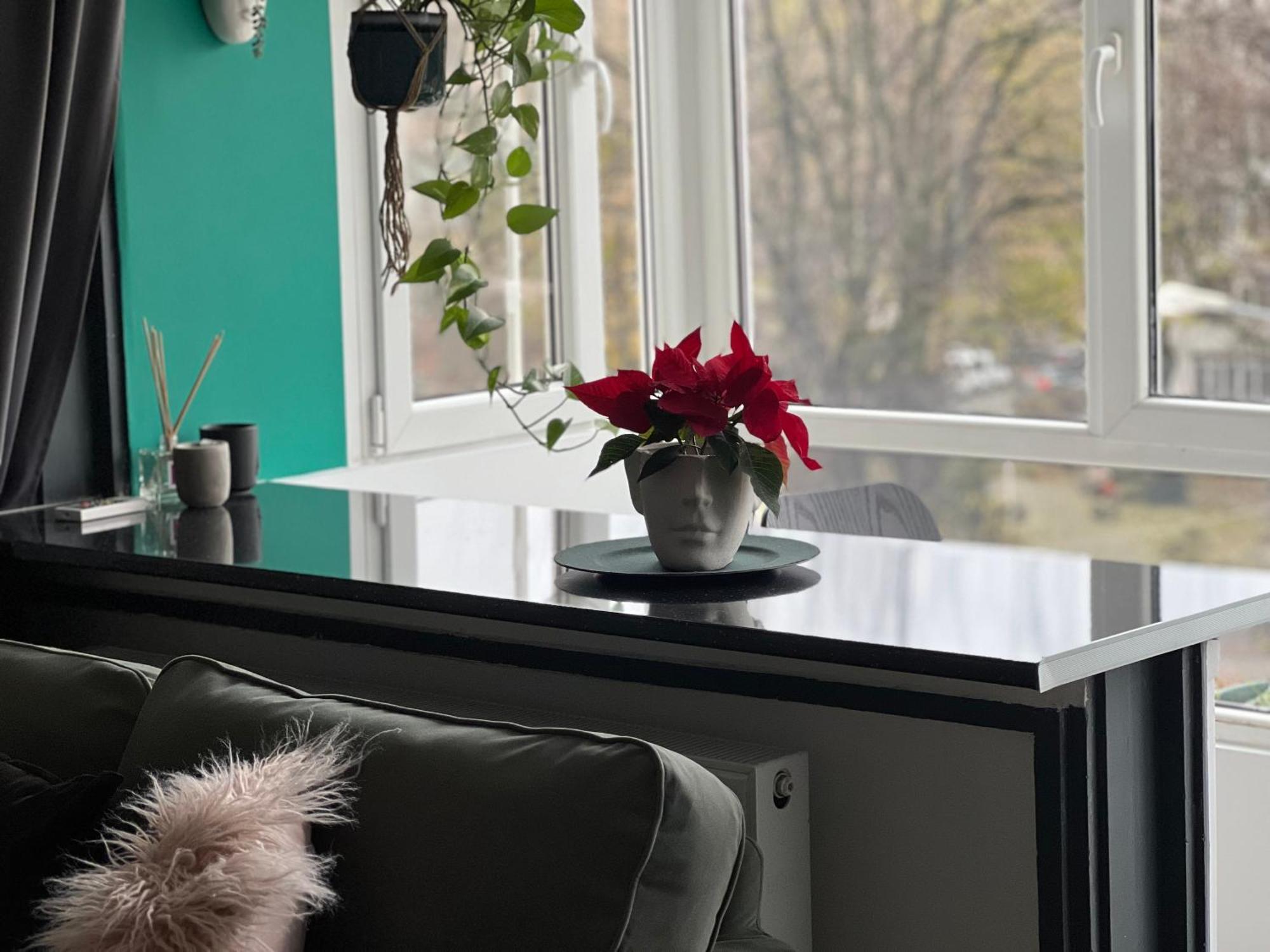 Cosy Studio Floreasca Bukareszt Zewnętrze zdjęcie