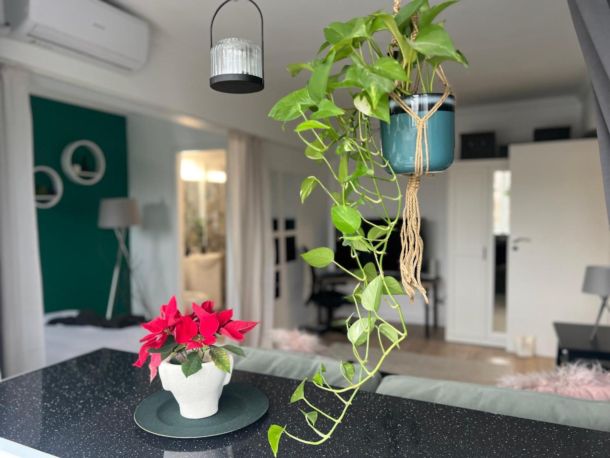 Cosy Studio Floreasca Bukareszt Zewnętrze zdjęcie