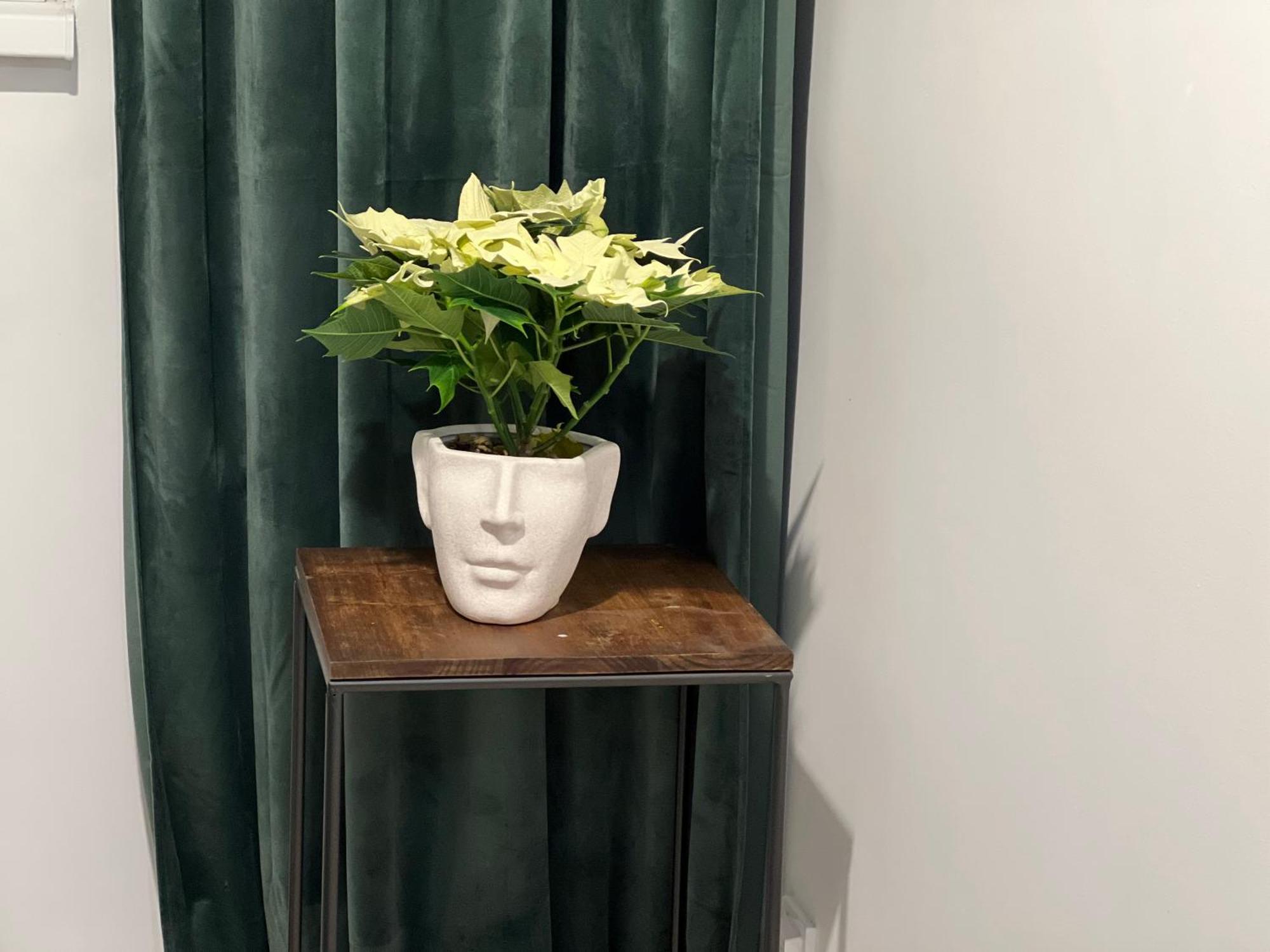 Cosy Studio Floreasca Bukareszt Zewnętrze zdjęcie